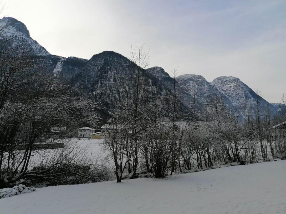 Apartma Angi Daire Obertraun Dış mekan fotoğraf